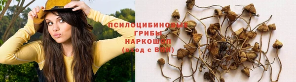 спиды Балахна