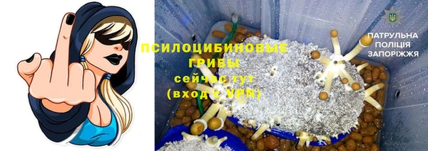 спиды Балахна