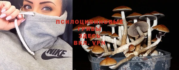 тгк Баксан
